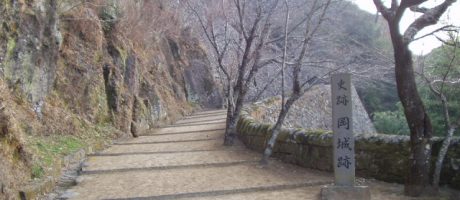 花粉症の会計士にとって3月決算の監査は・・・